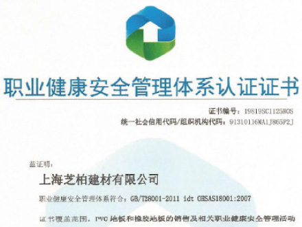 職業(yè)健康安全管理體系認(rèn)證證書